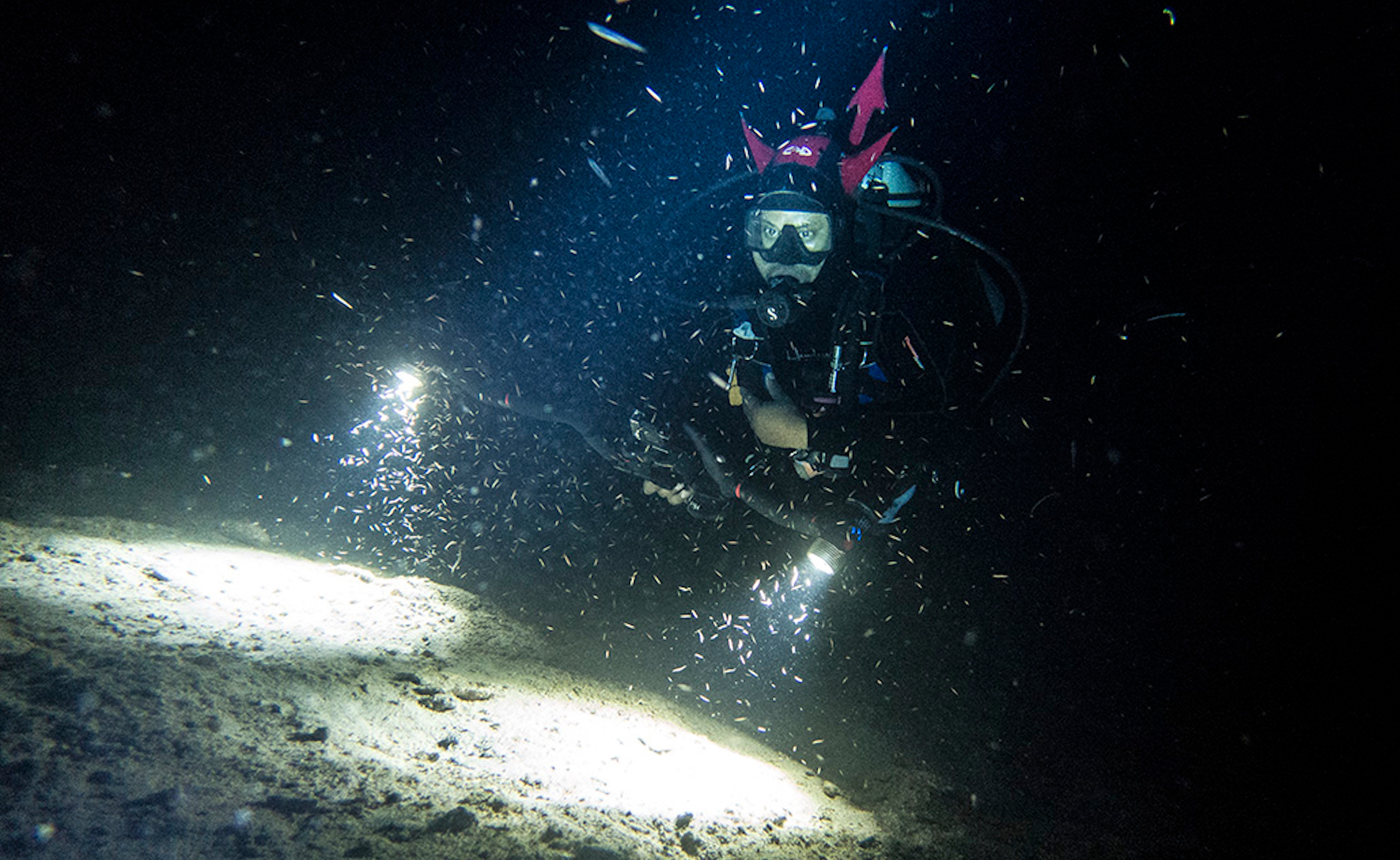 Black Scuba Diver at night
