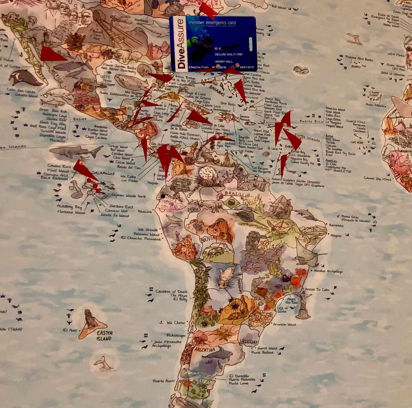 Scuba Diving, Medical & Travel Insurance – All-In-One – Review