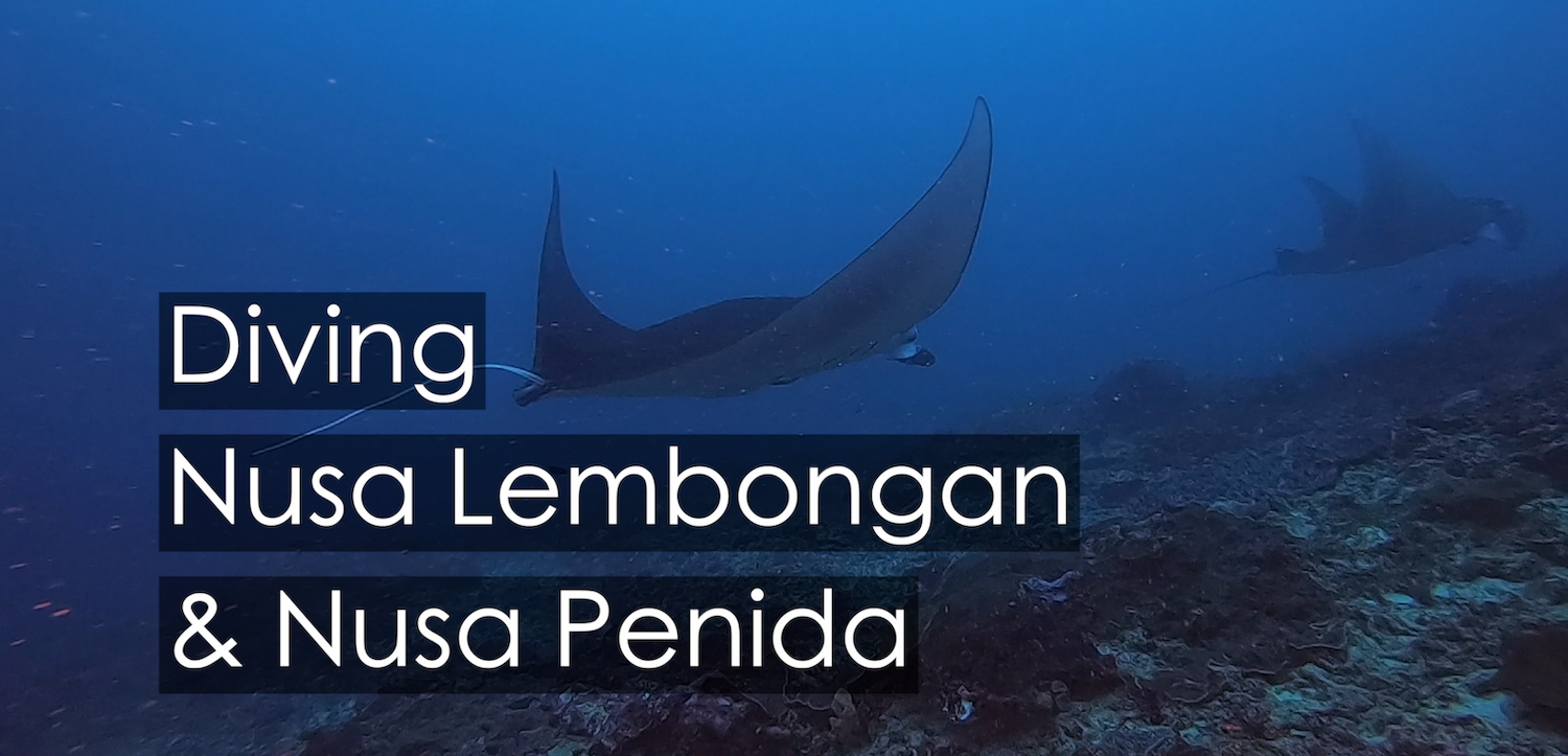 Scuba Diving Nusa Lembongan and Nusa Penida