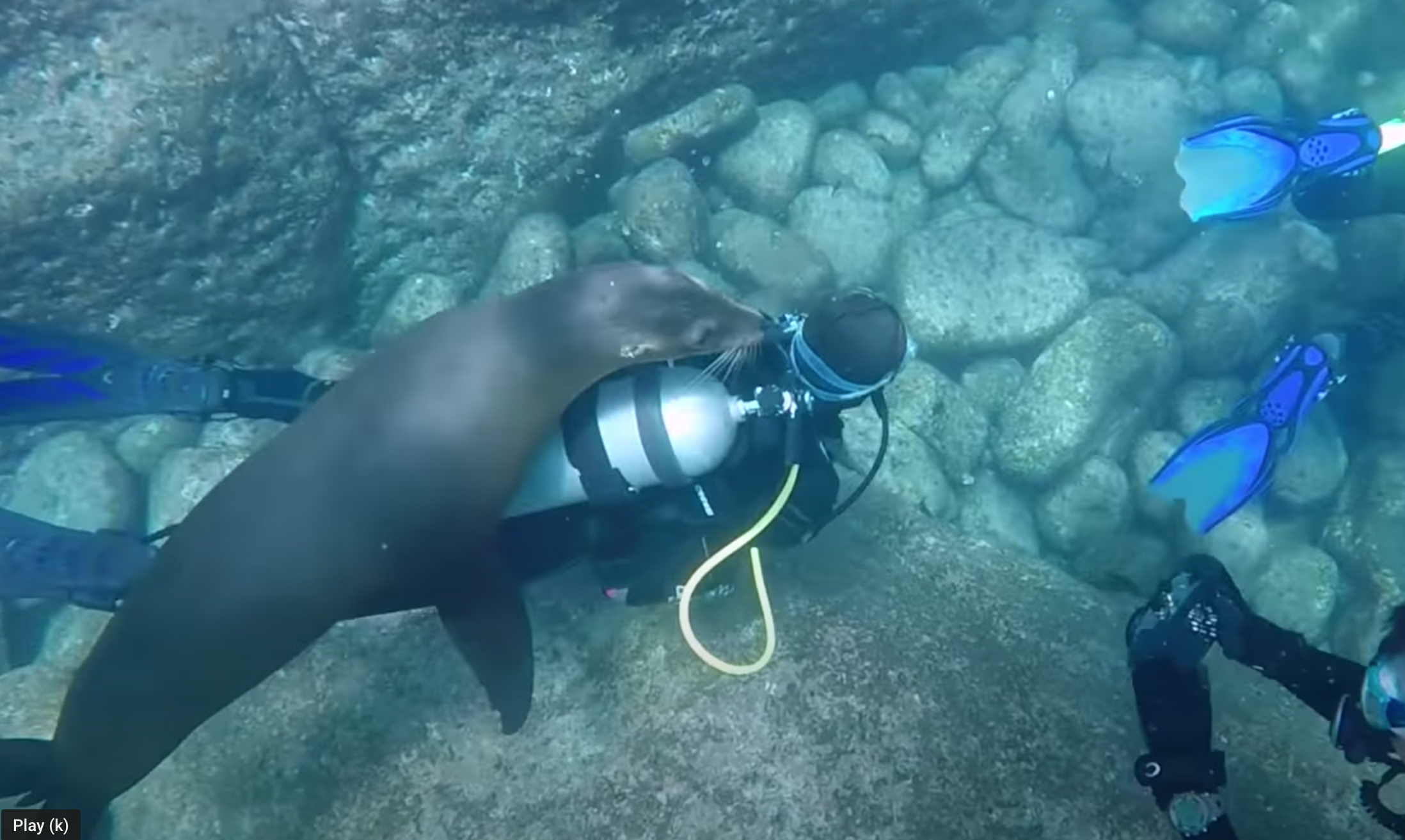 Short Underwater Clips