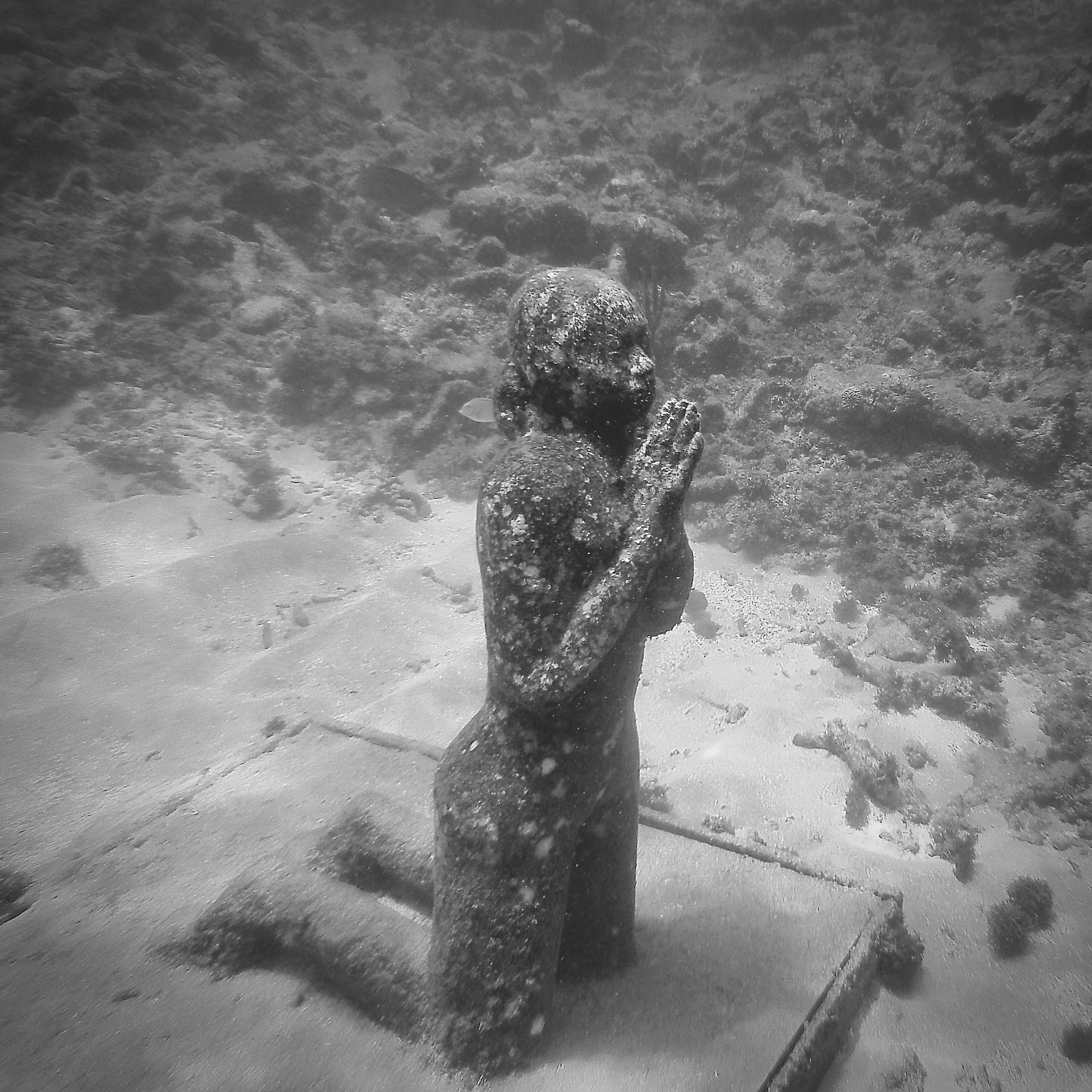Diving the Grenada Underwater Sculpture Park