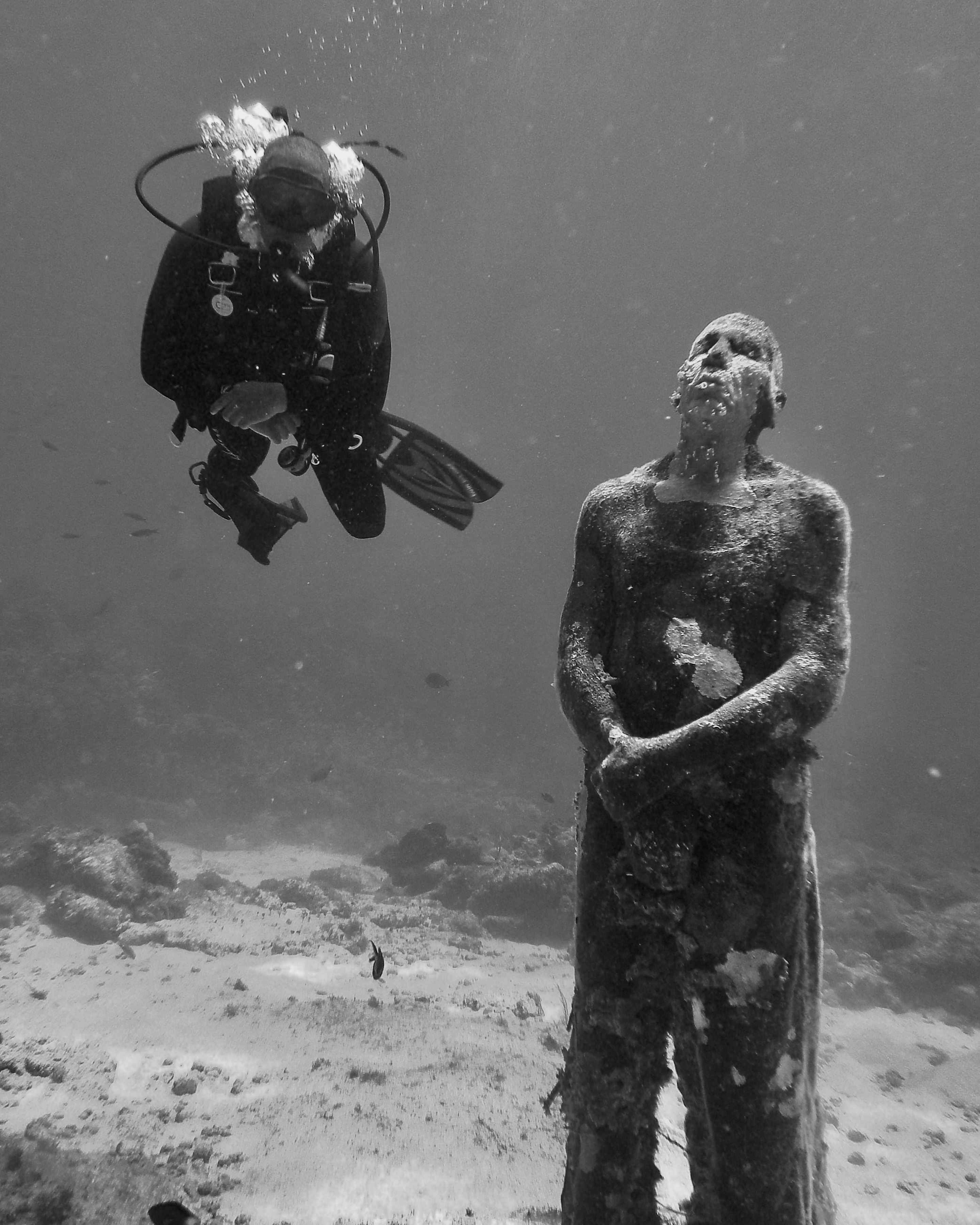 Wordless Wednesday : Statue & Diver