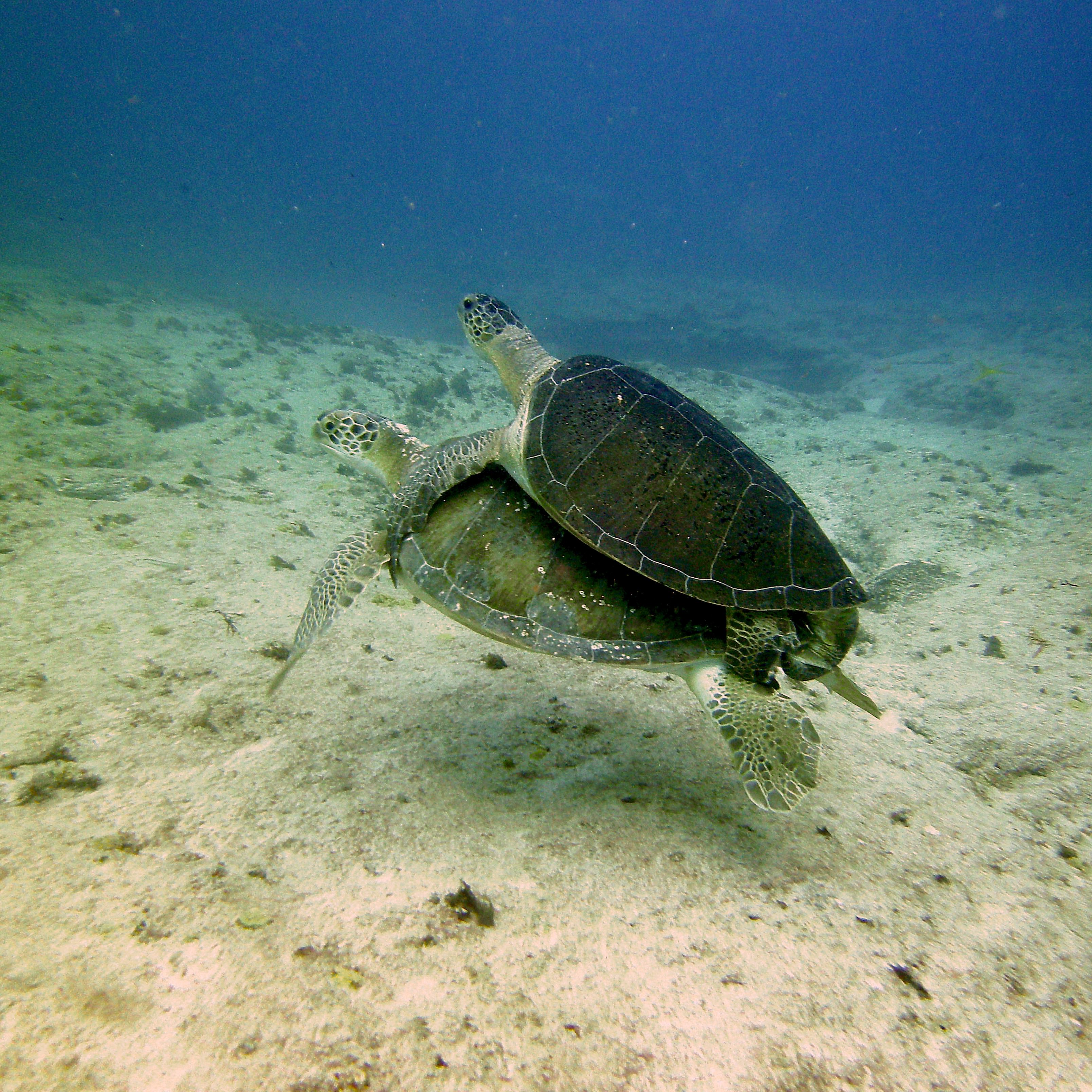 Happy Valentine’s Day!