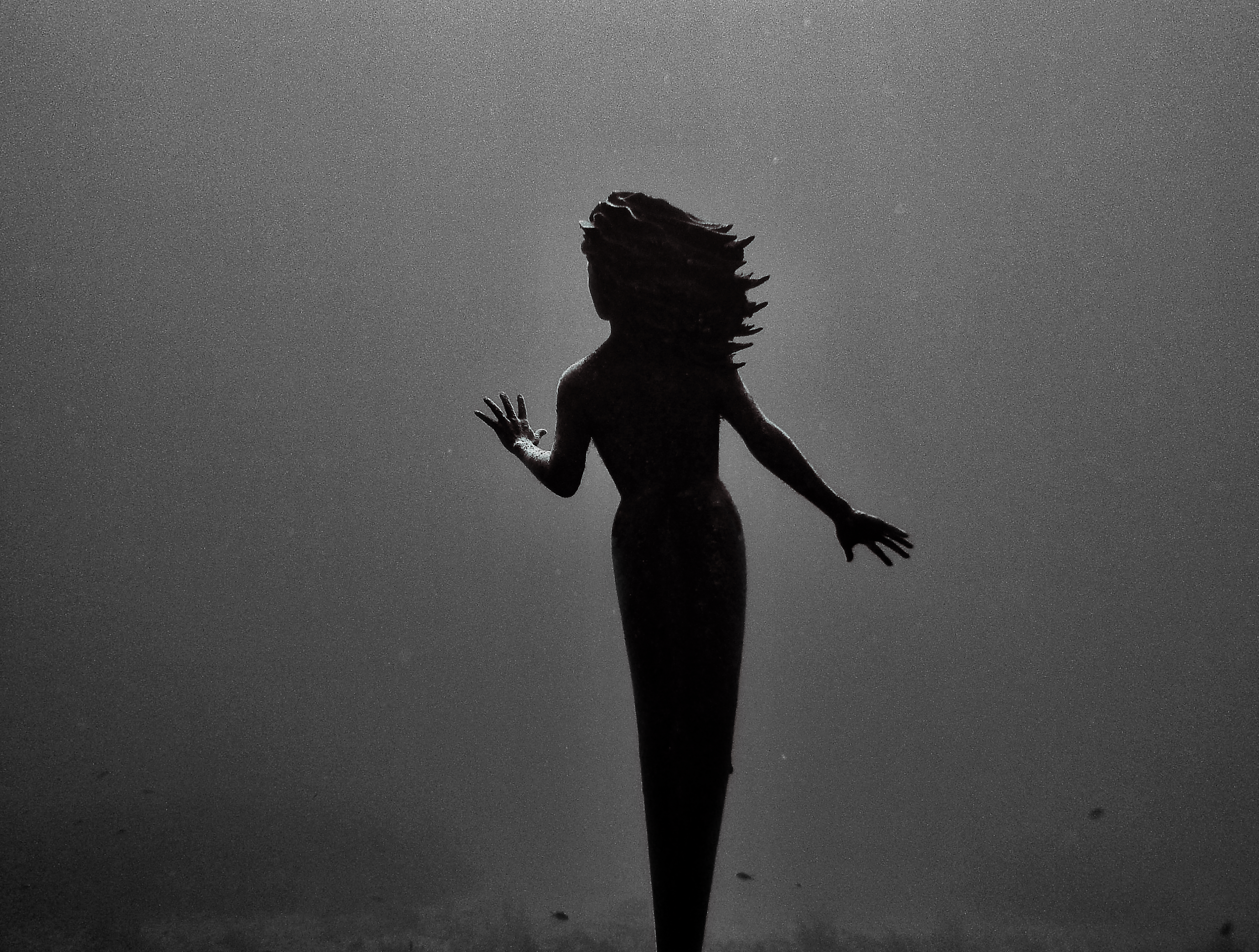 underwater mermaid statue in grand cayman