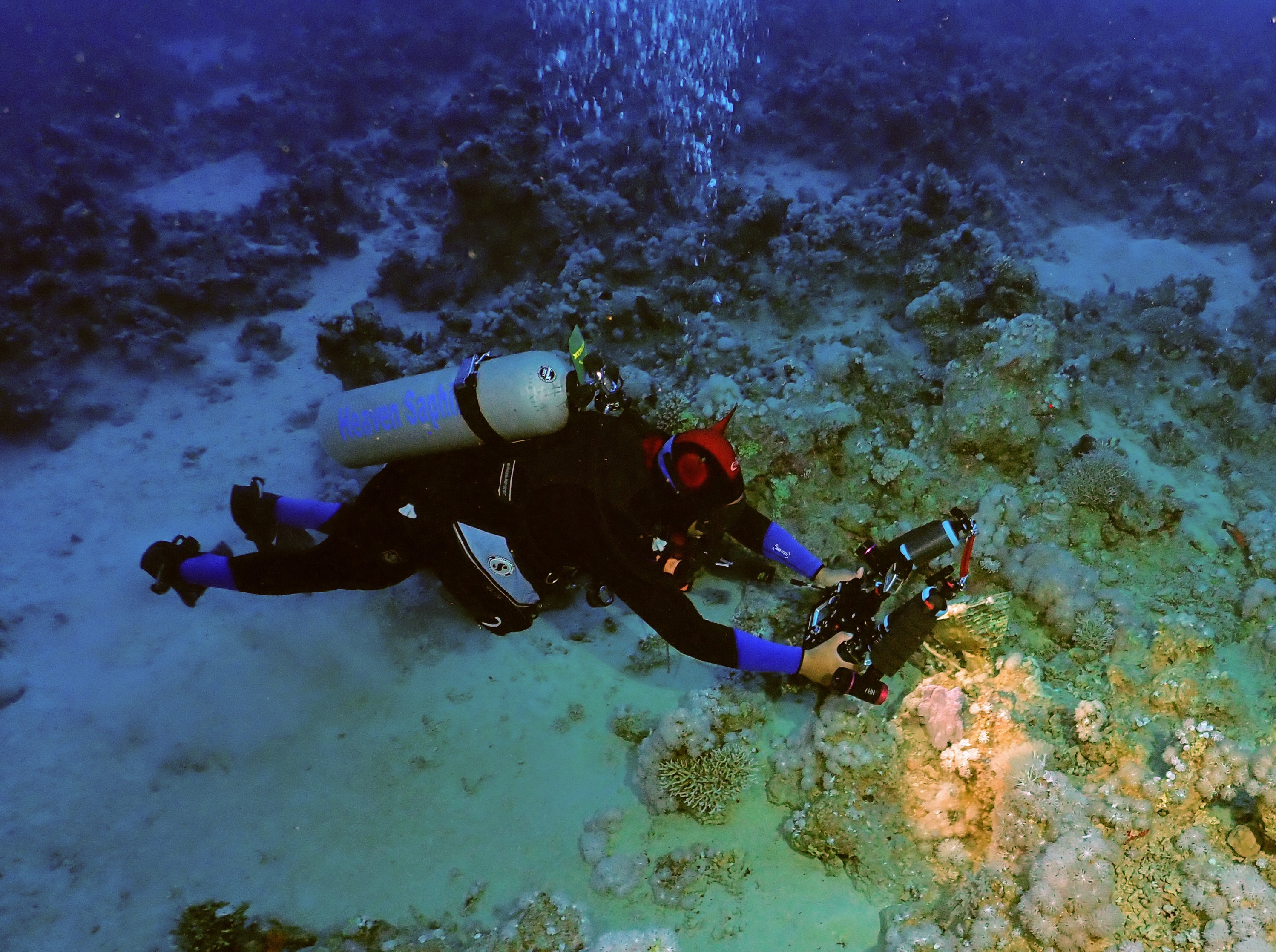 Red Sea Scuba Diver