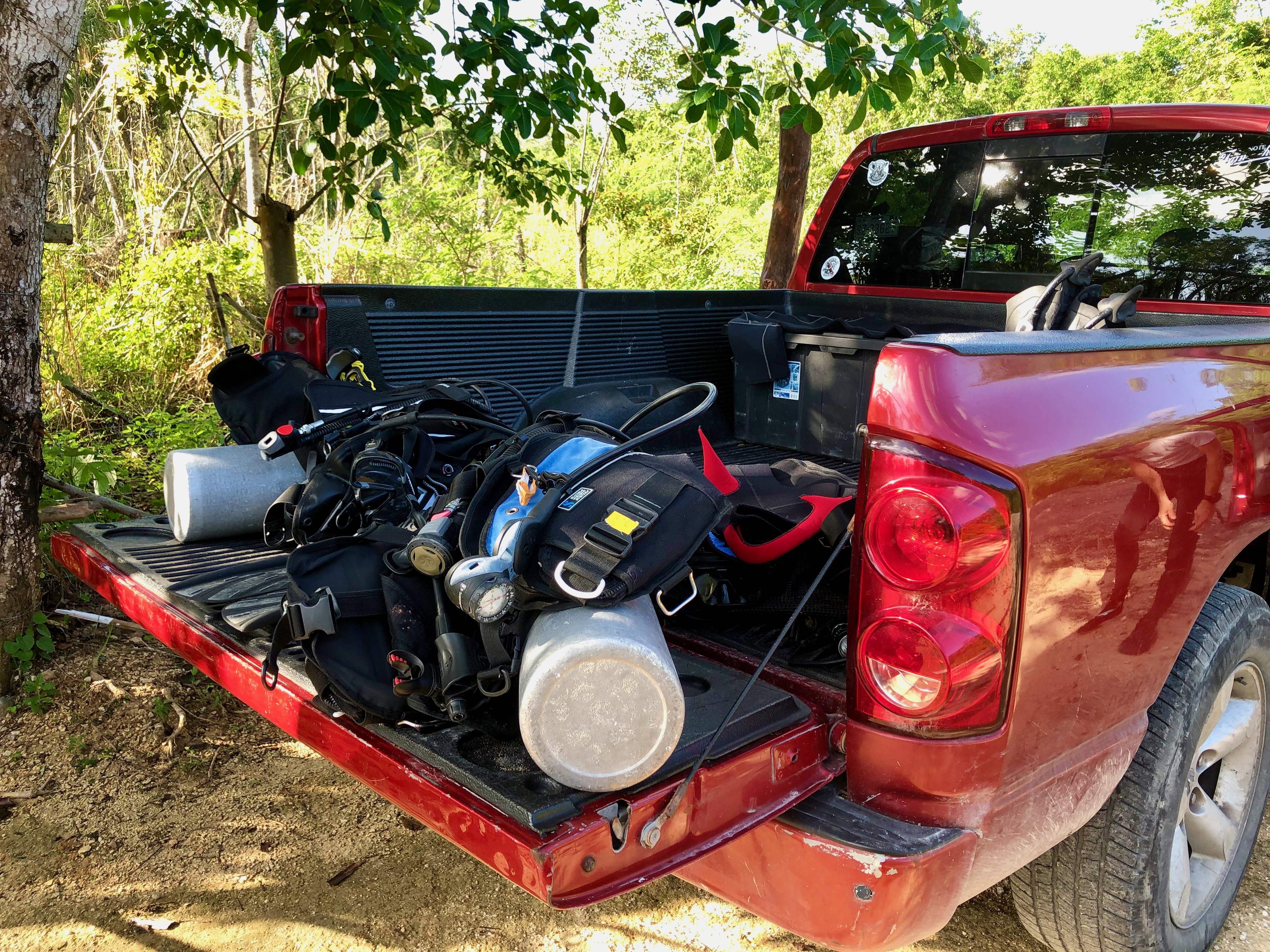 Silent Sunday: Images From A Cenote