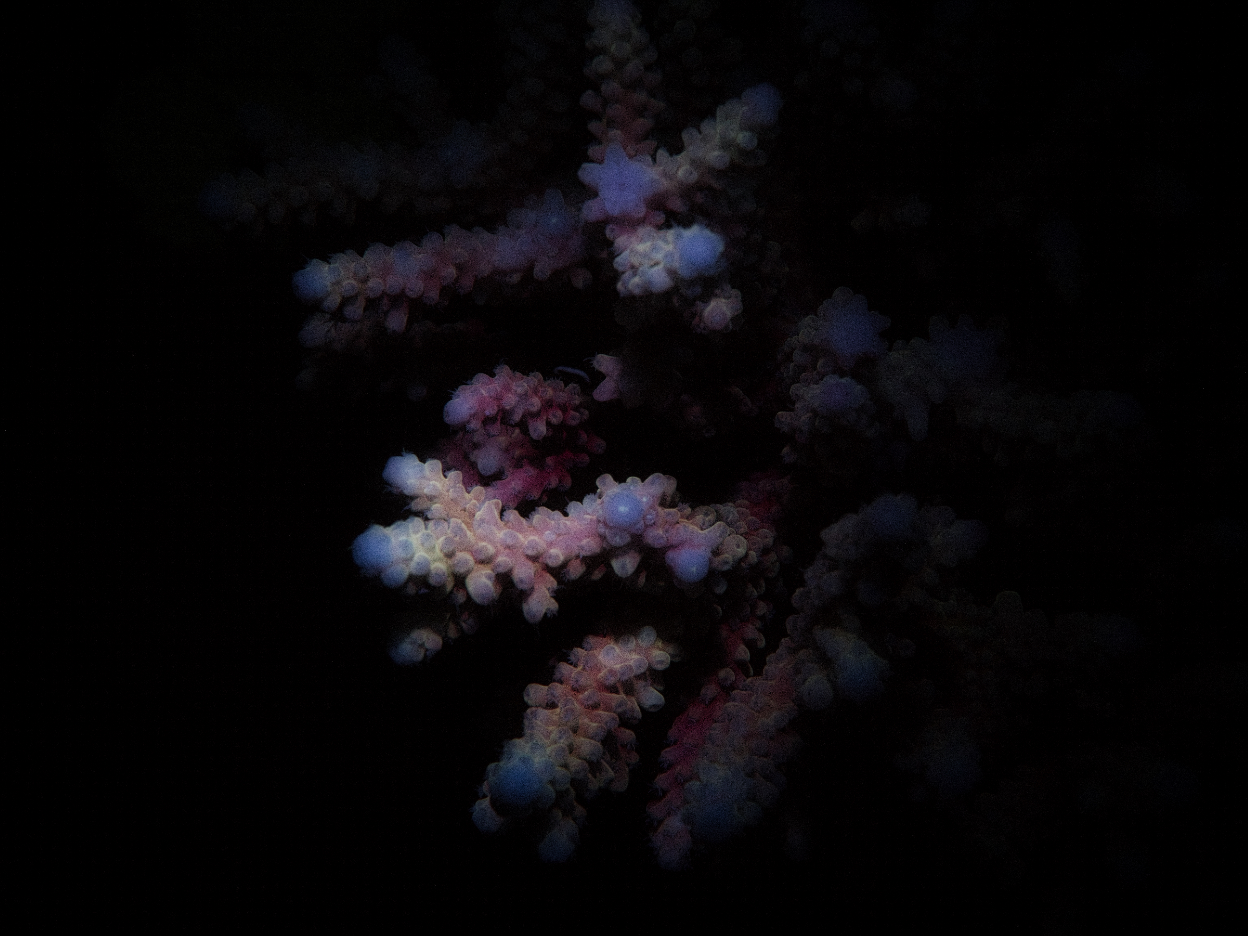 Fluorescent Friday : Hurghada Departure￼