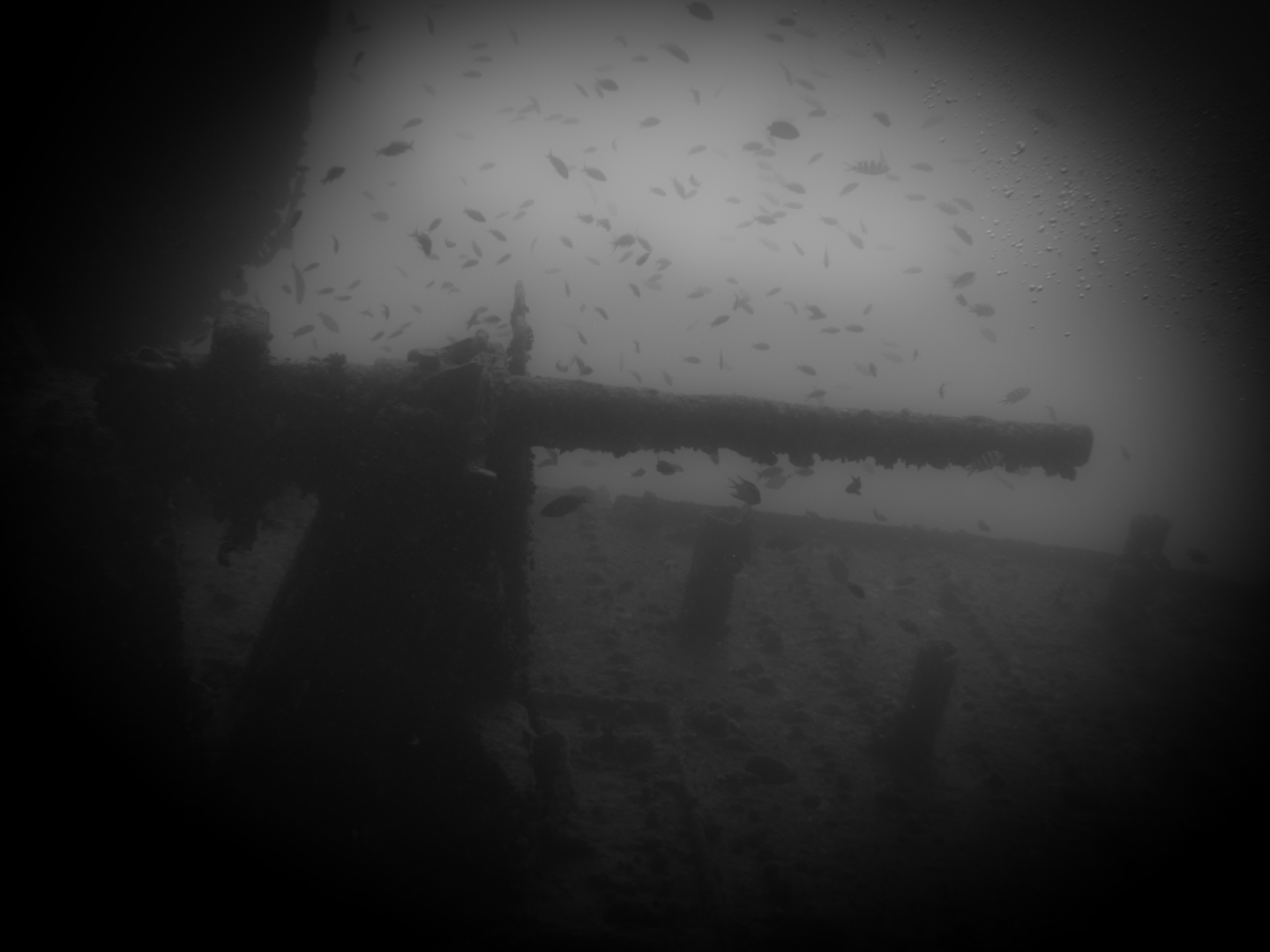 Remnants of War: SS Thistlegorm￼