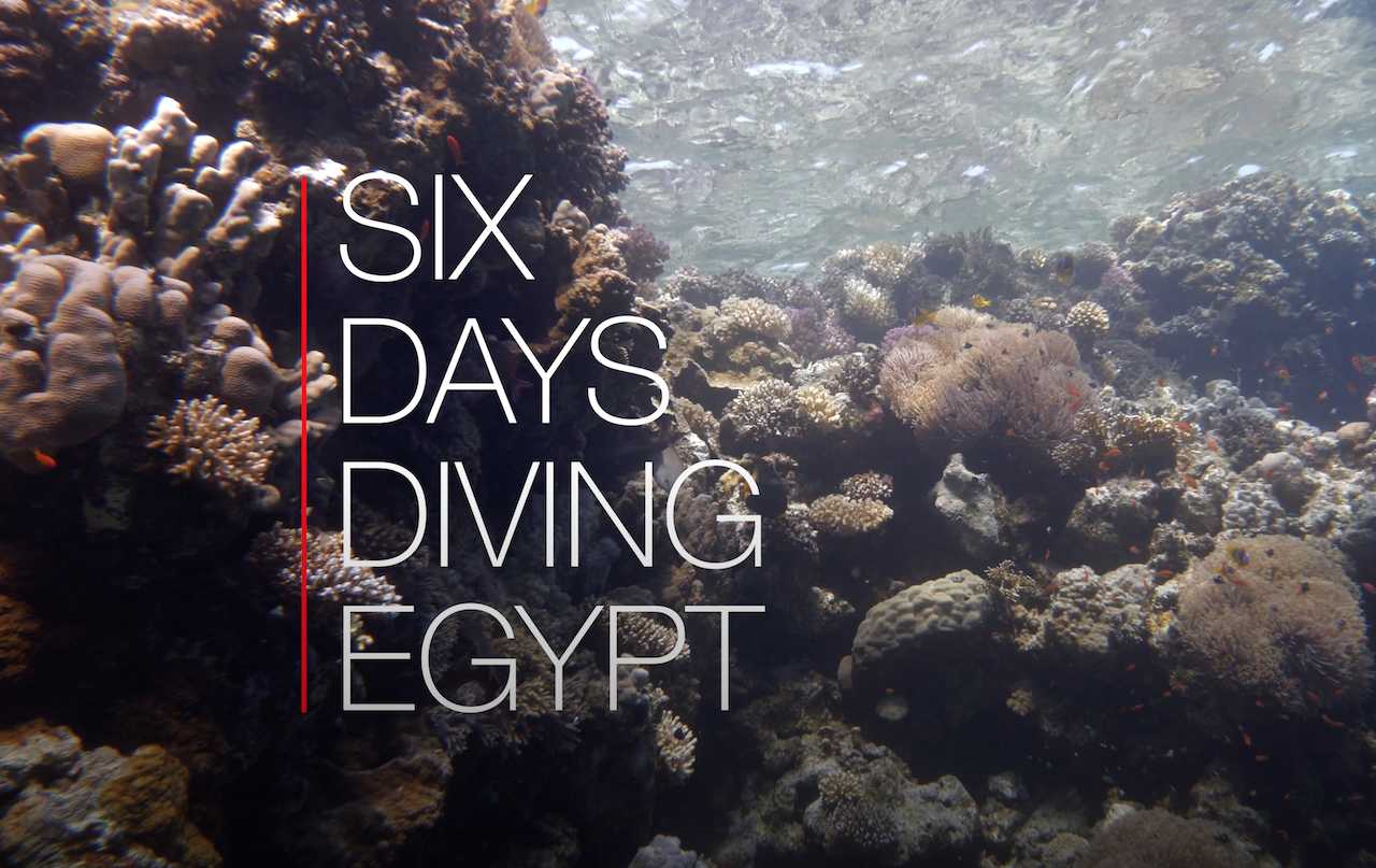 Six Days Diving Egypt