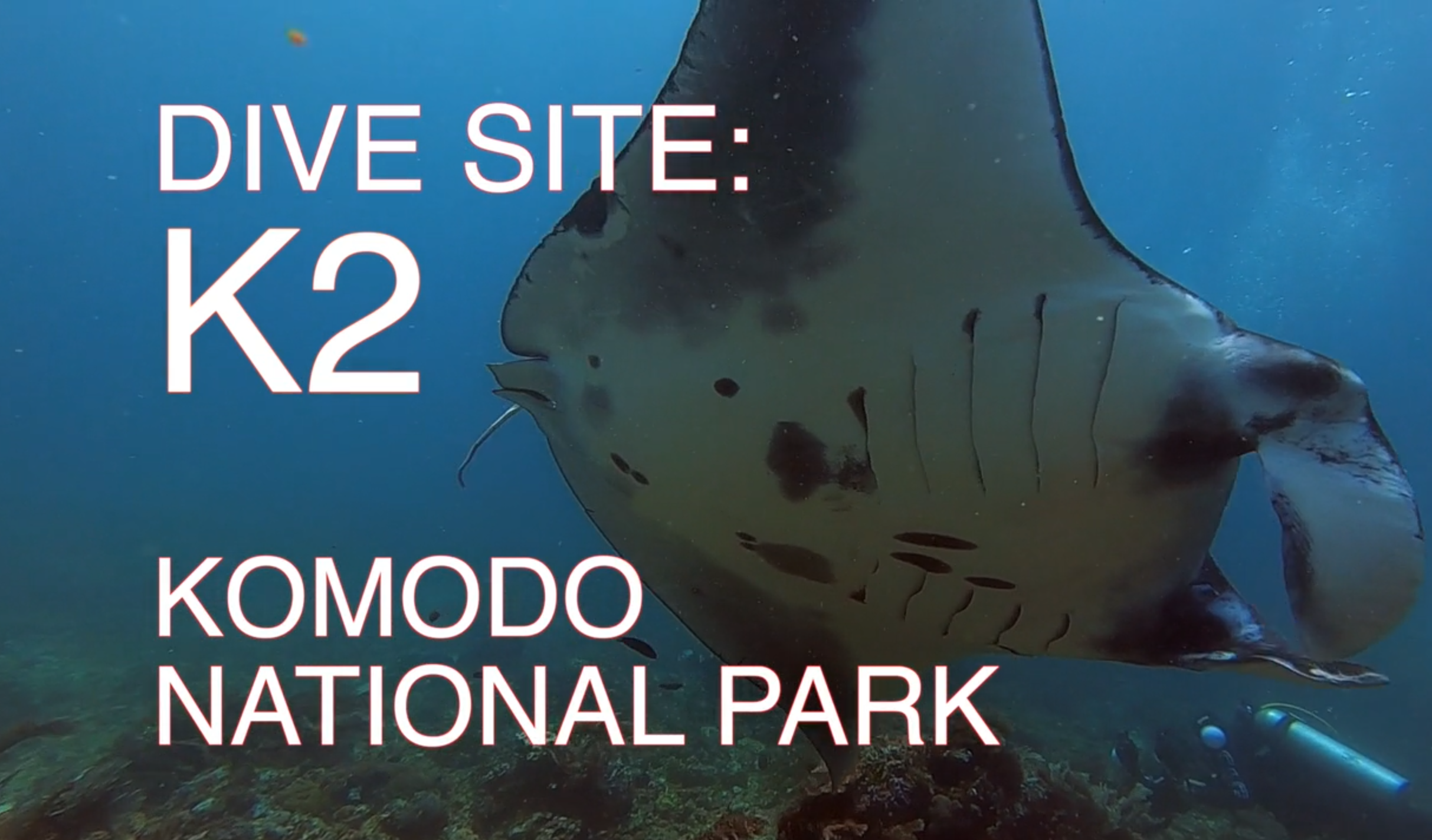 K2 Dive Site in Komodo National Park