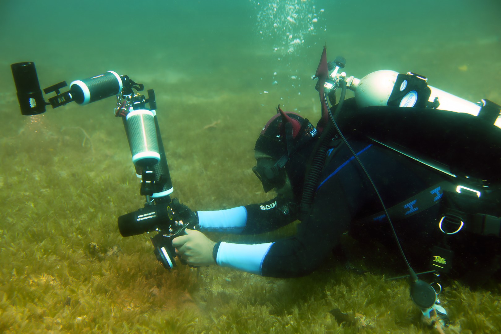 Saint Vincent Seagrass