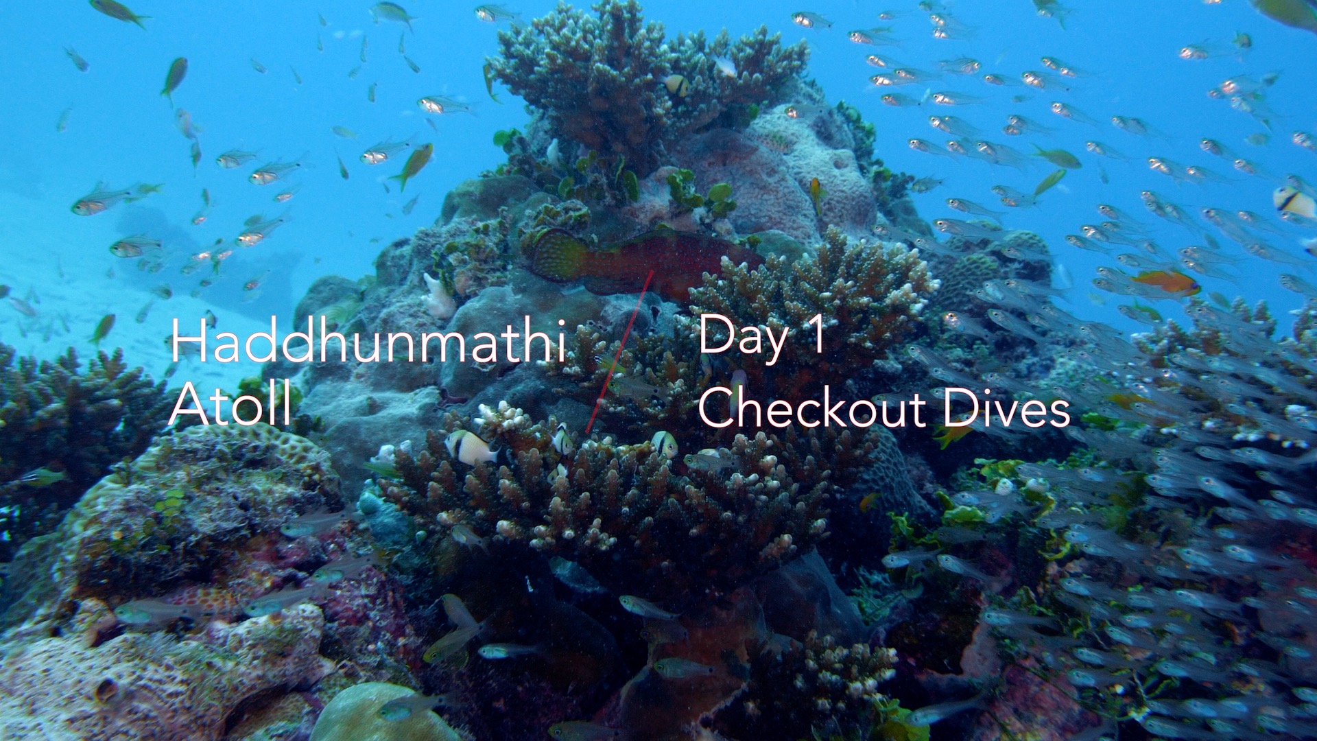 First Day Diving Haddhunmathi Atoll