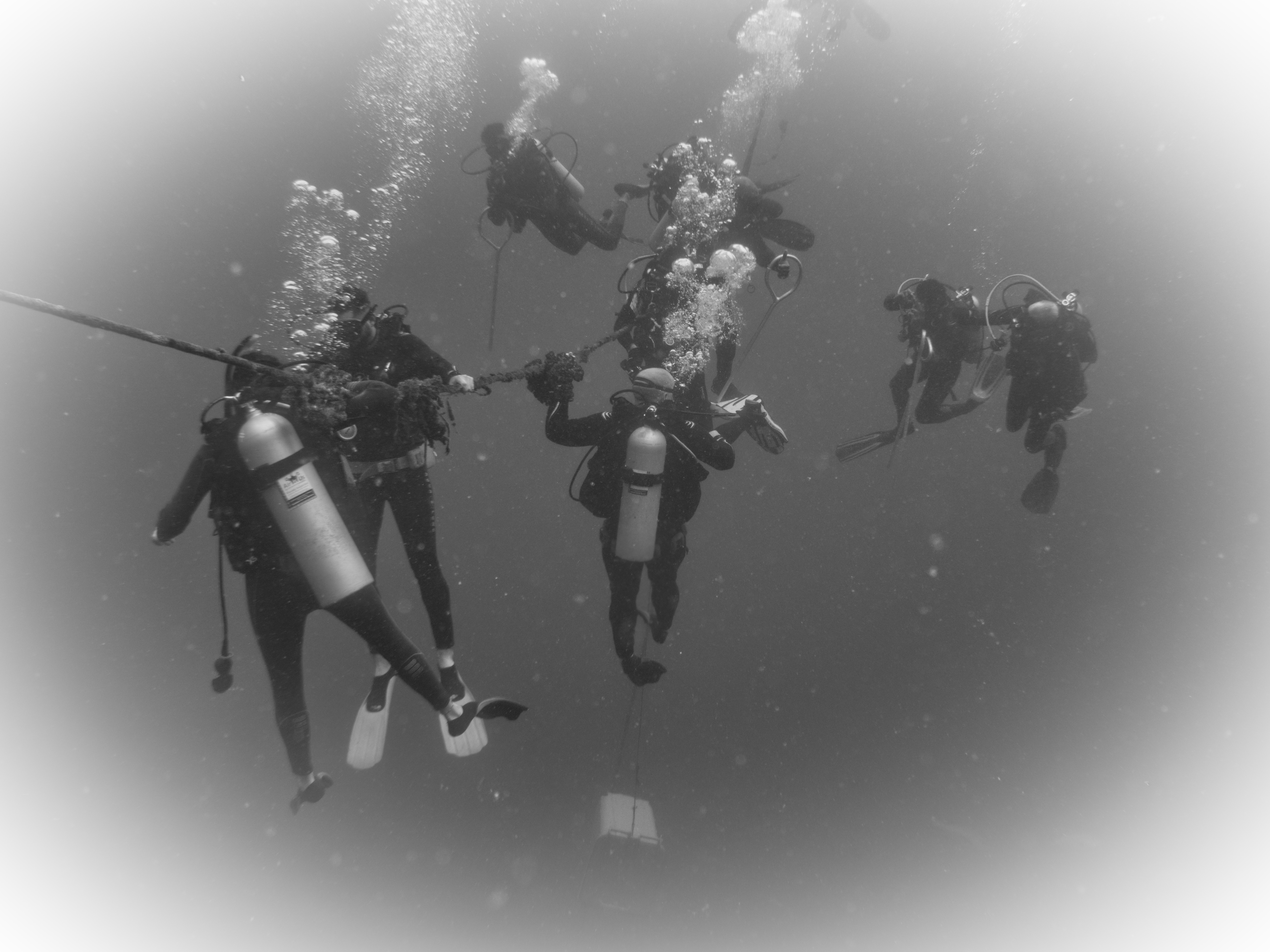 Divers On A Rope - Scuba Hank NYC