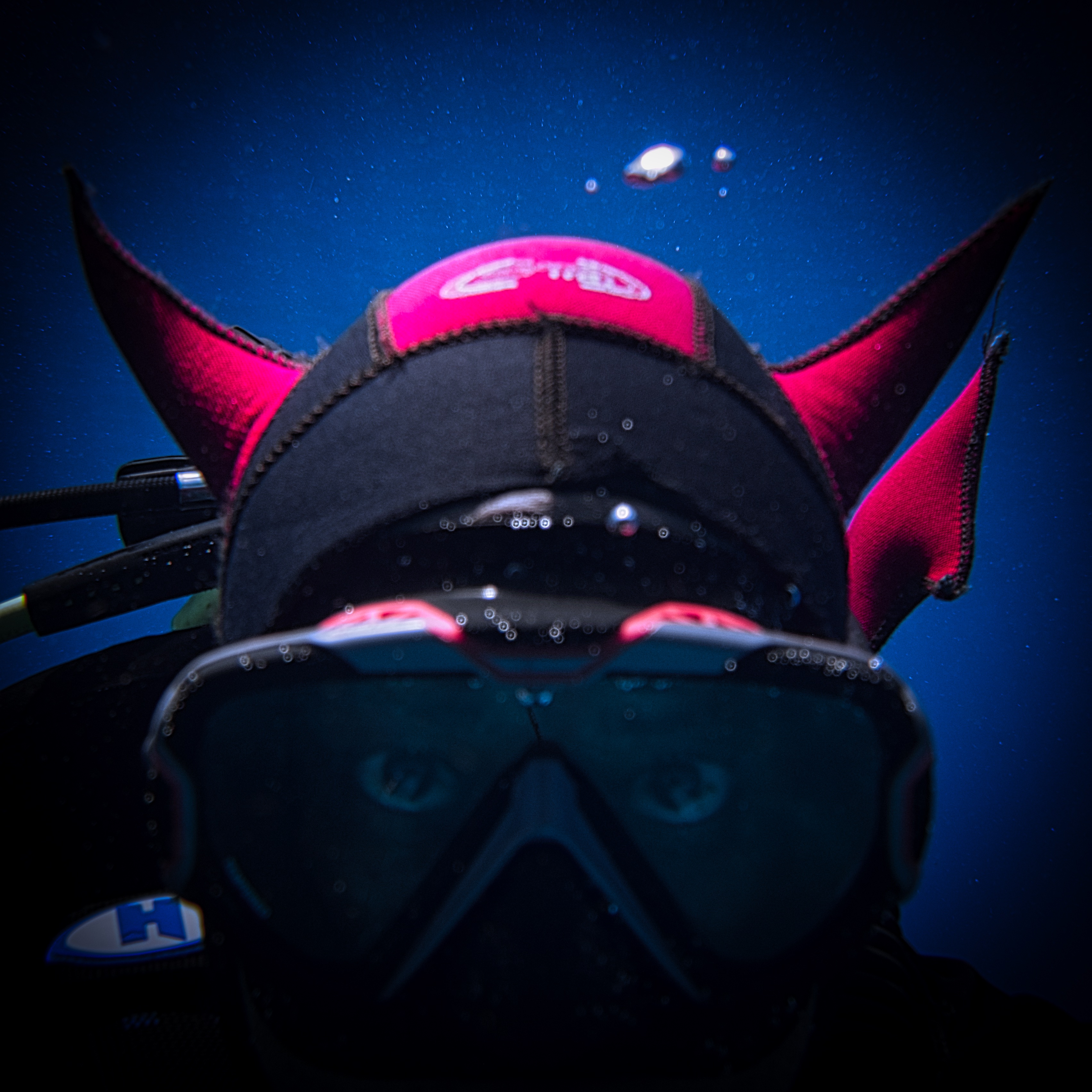 Last Week on Instagram: Underwater Photos from My Favorite Dives - Scuba Hank NYC