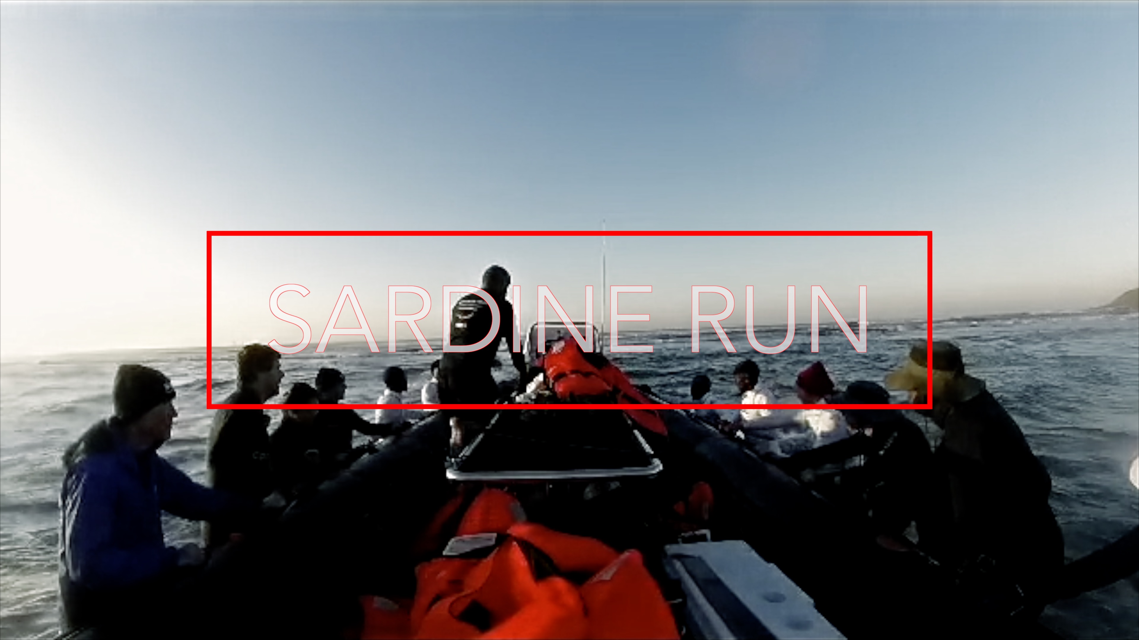 Setting Sail: Launching our Sardine Run Expedition - Scuba Hank NYC