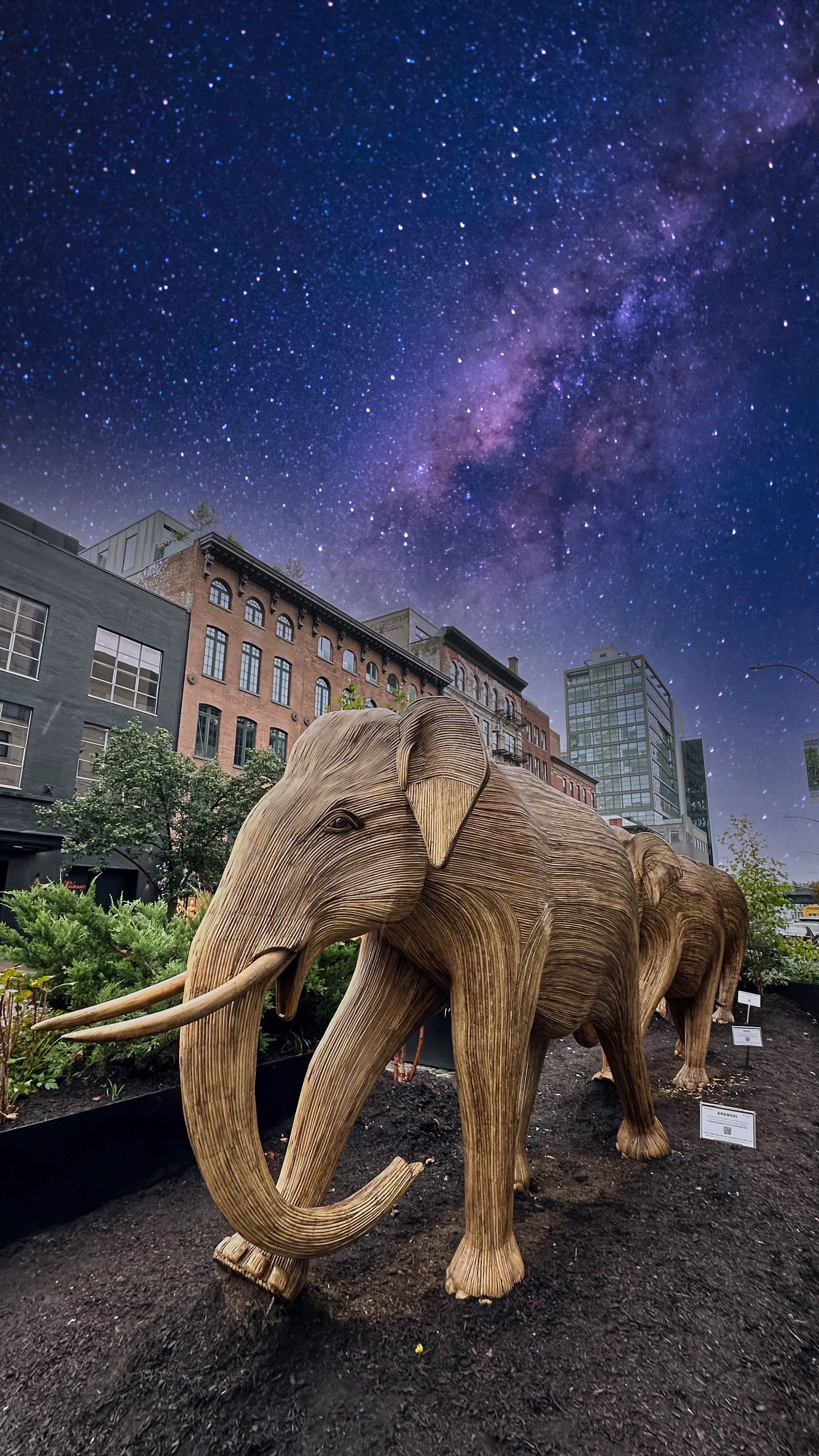 Elephants Have Taken Over NYC