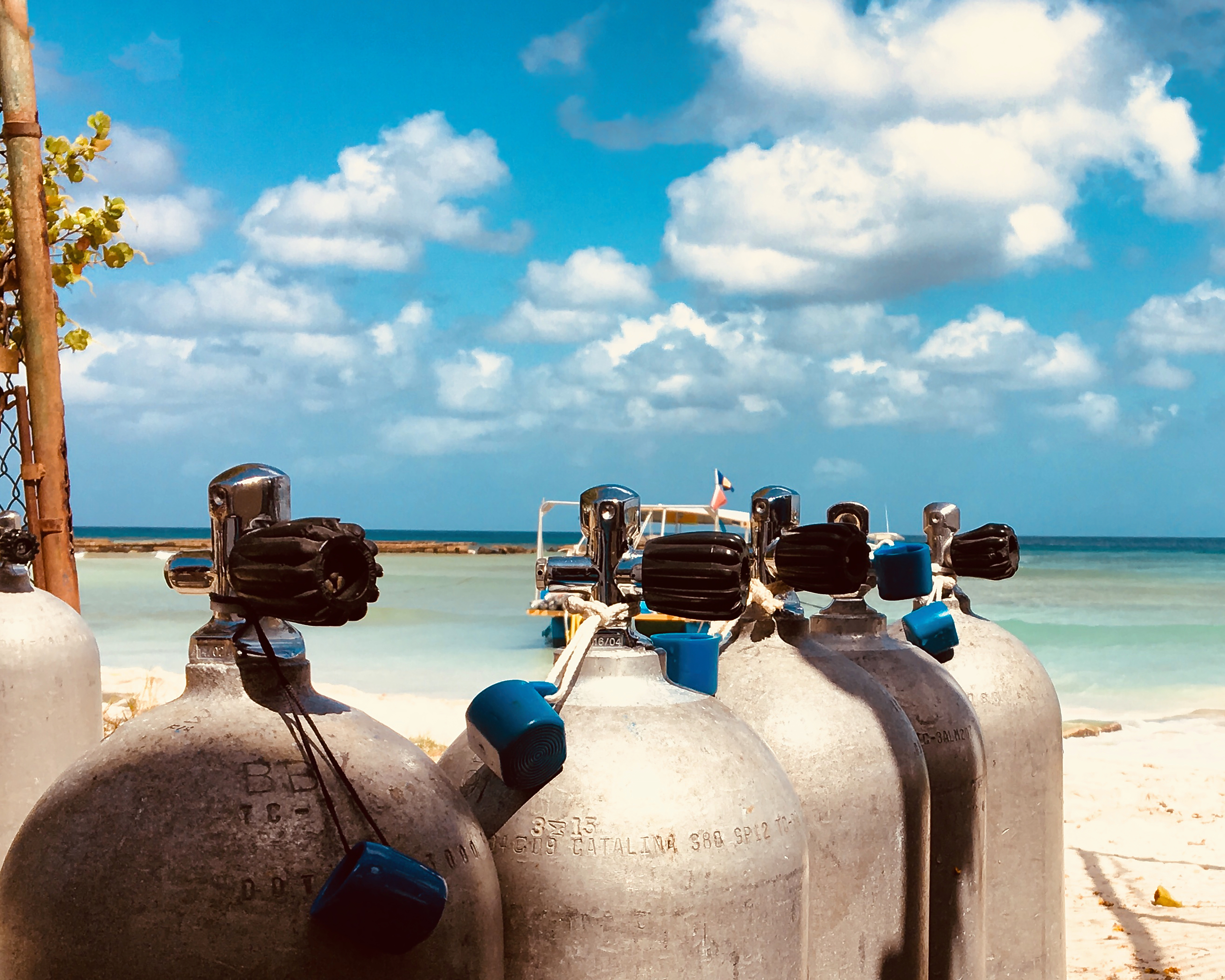 Wordless Wednesday : Tanks & Cameras