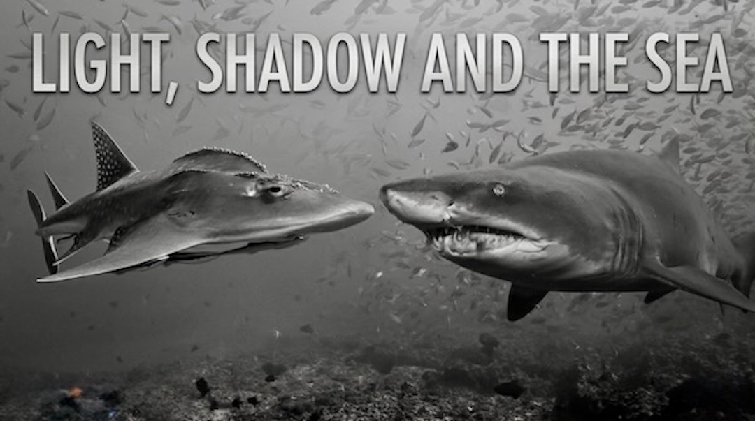 Light, Shadow and Sea – A Black and White Short Film