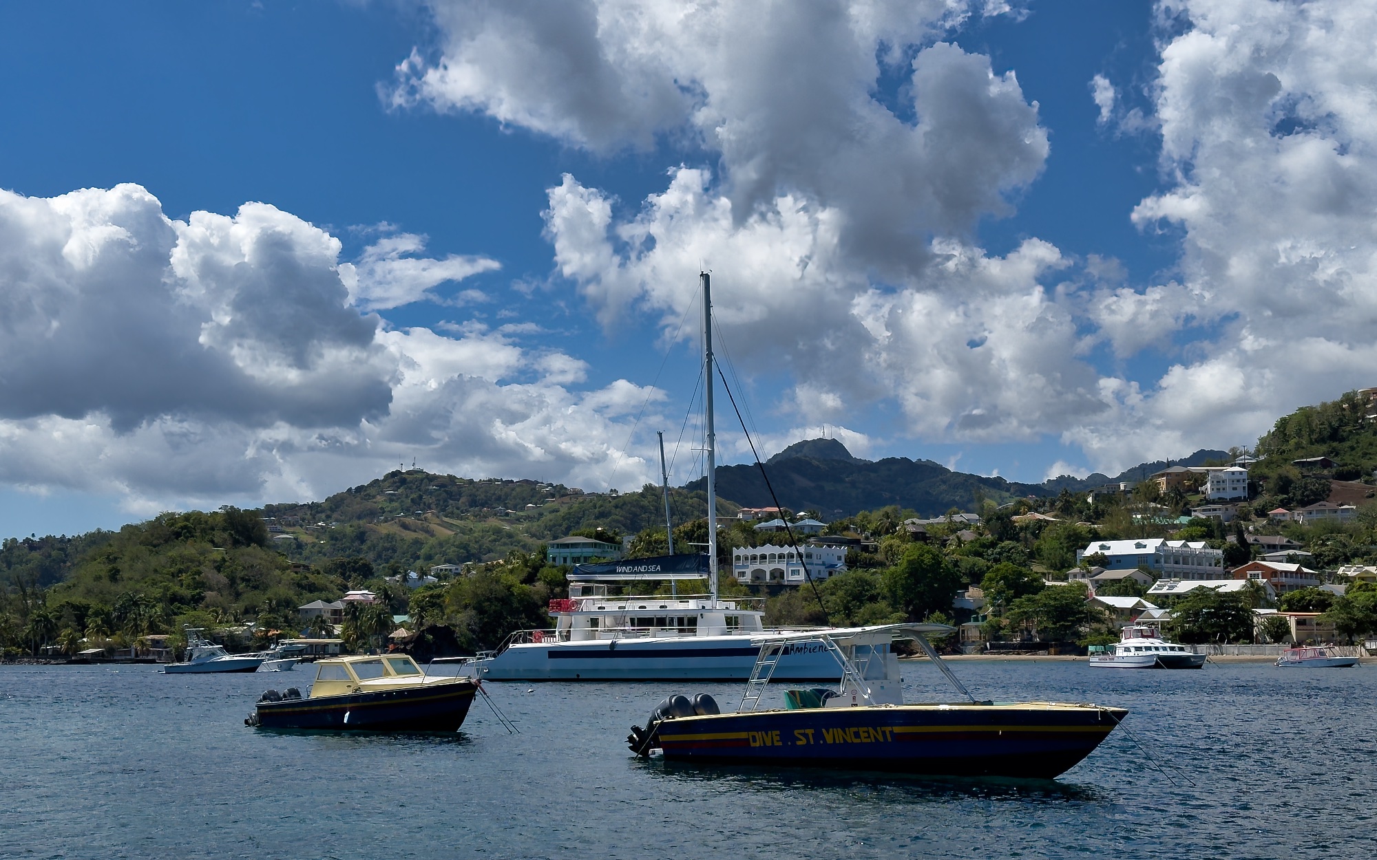 Chasing Clouds – Young Island