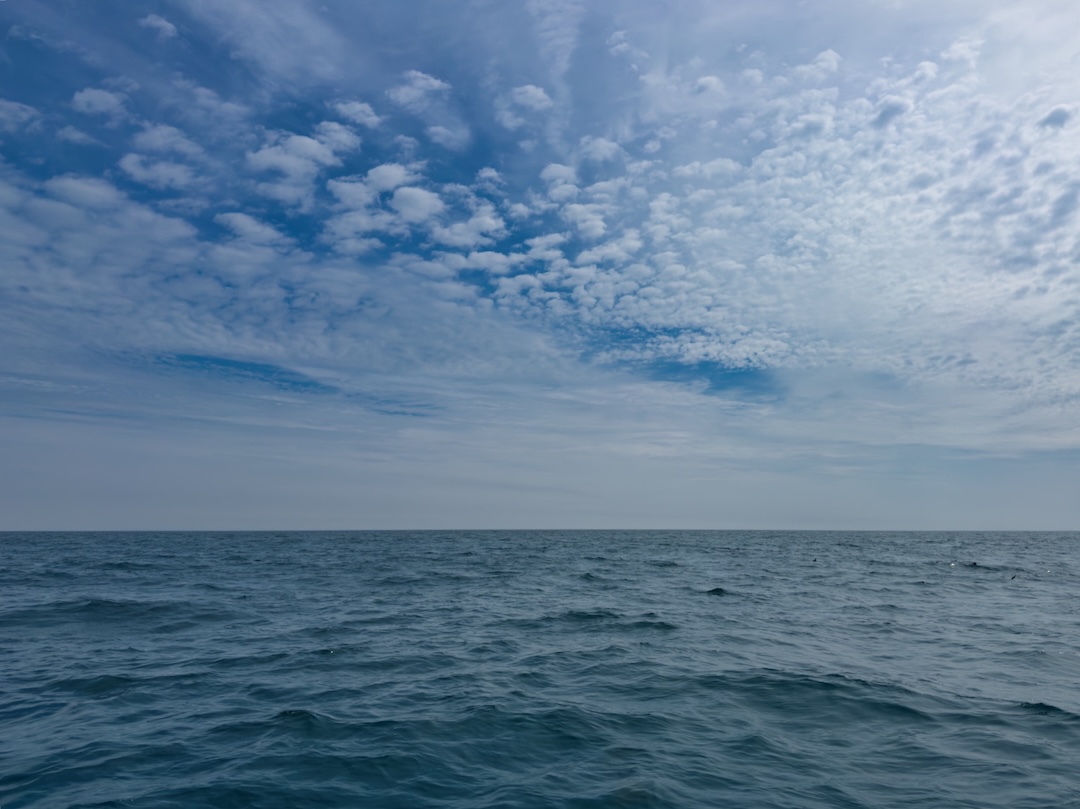 Wide open blue ocean seascape with choppy waves under a blue sky dominated by a dramatic pattern of scattered altocumulus mackerel clouds.