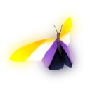 butterfly_nonbinary